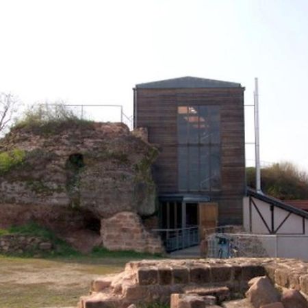 Gasthaus Neupert Lemberg المظهر الخارجي الصورة