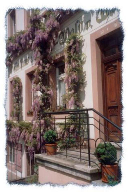 Gasthaus Neupert Lemberg المظهر الخارجي الصورة