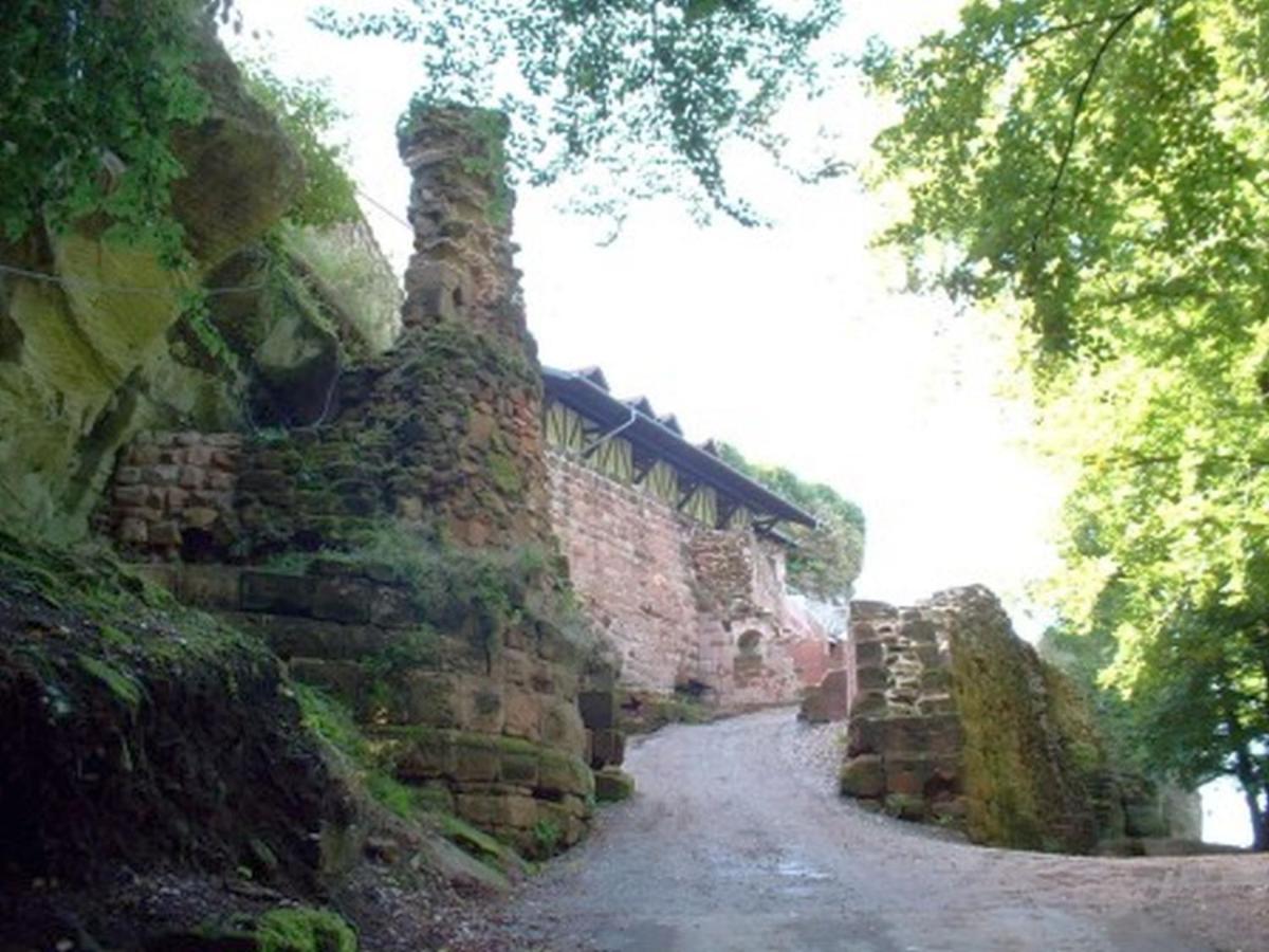 Gasthaus Neupert Lemberg المظهر الخارجي الصورة